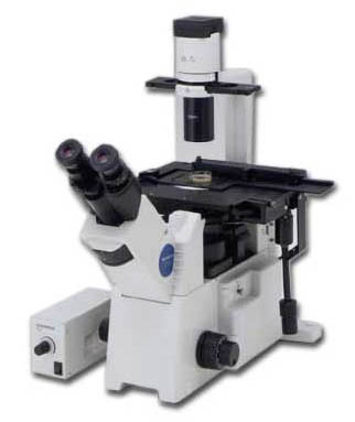 Equ_Olympus_IX51_Inverted_microscope